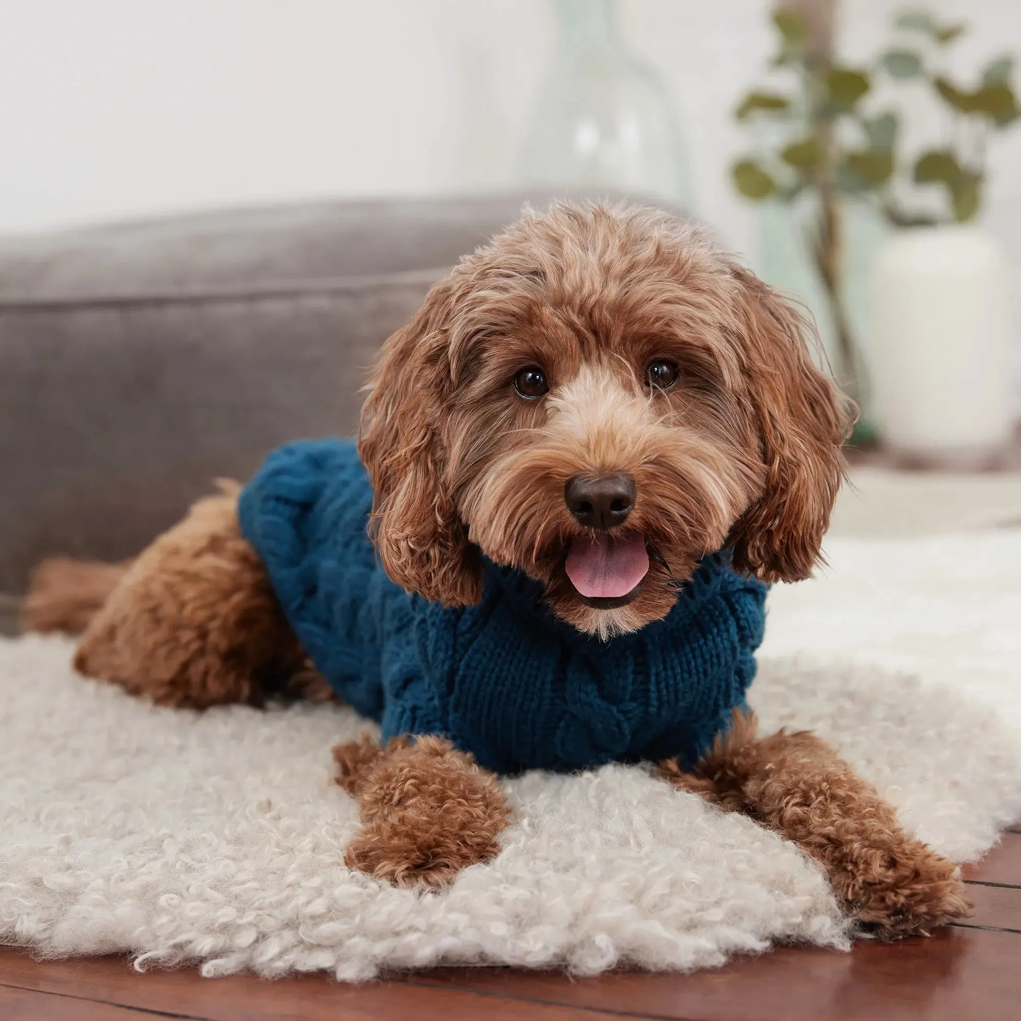 Chalet Dog Sweater | Dark Teal