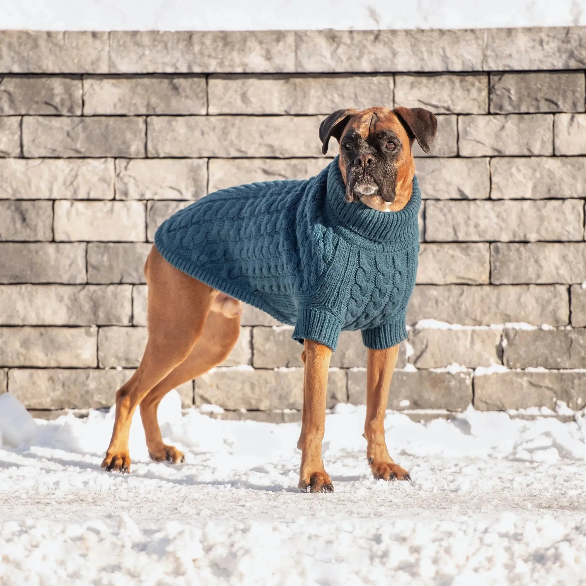 Chalet Dog Sweater | Dark Teal