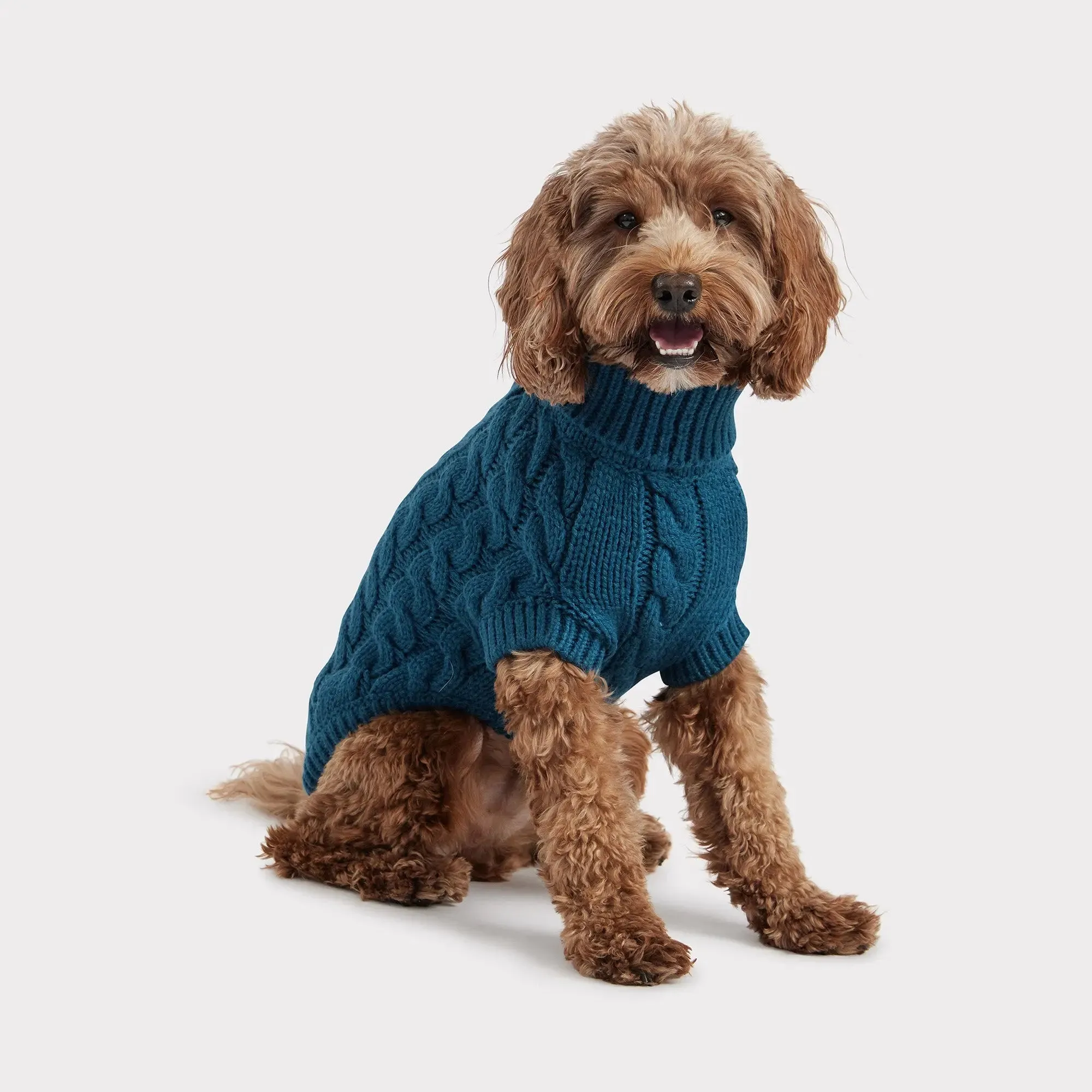 Chalet Dog Sweater | Dark Teal