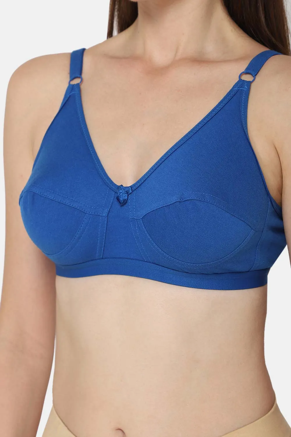 Intimacy Saree Bra Combo Pack – Stylish and Comfortable Everyday Wear for a Perfect Fit (INT01 - C35)