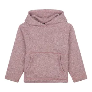 Kid's Synchilla Sweater Hoody