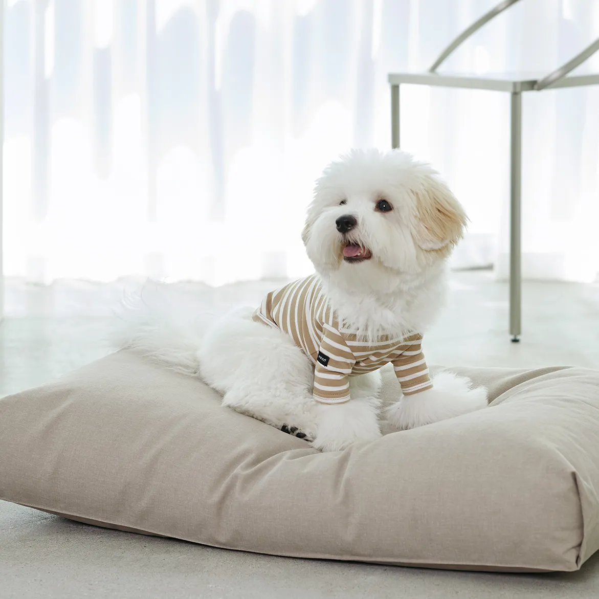 Striped Dog T-Shirt Beige